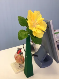 Fotografia miesta 4 od Ambulancia vnútorného lekárstva -  Operatíva, lekárska spoločnosť, spol. s r.o. - MUDr. Marta Marcová