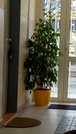 Fotografia miesta 7 od Ambulancia klinickej psychológie - PhDr. Kata Piačková