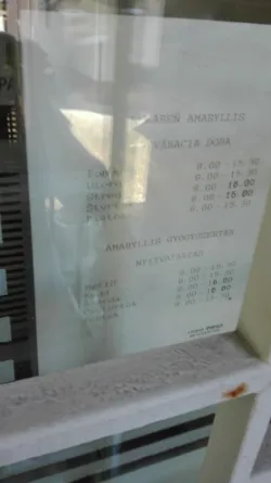 Fotografia miesta 1 od Lekáreň Amaryllis - Mgr. Eva Sidóová
