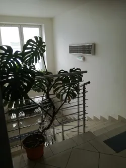 Fotografia miesta 4 od Všeobecná ambulancia pre dospelých - MUDr. Mária Ševčovičová, s.r.o. - MUDr. Mária Ševčovičová