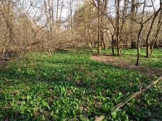 Fotografia miesta 4 od FNsP Bratislava pracovisko Pezinok