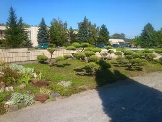 Fotografia miesta 8 od FNsP Bratislava pracovisko Pezinok