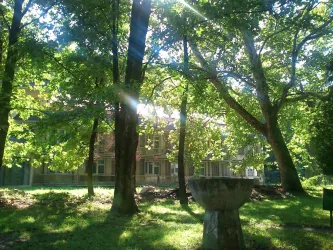 Fotografia miesta 10 od FNsP Bratislava pracovisko Pezinok