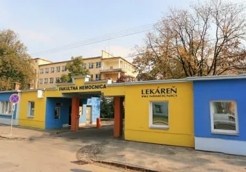 Fotografia miesta 2 od FNsP Trnava