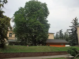 Fotografia miesta 9 od FNsP Trnava