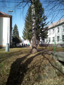 Fotografia miesta 8 od NsP Kremnica