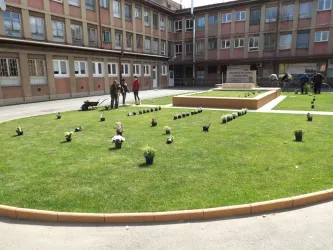 Fotografia miesta 2 od NsP Kráľovský Chlmec, n.o.