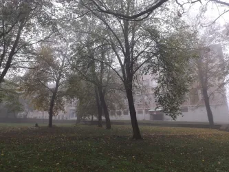 Fotografia miesta 7 od NsP Kráľovský Chlmec, n.o.