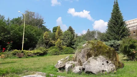 Fotografia miesta 5 od NsP Levoča - Všeobecná nemocnica s poliklinikou Levoča, a.s.