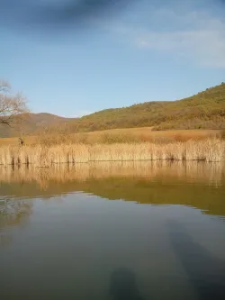 Fotografia miesta 4 od Psychiatrická nemocnica Hronovce