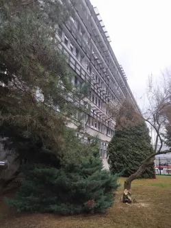Fotografia miesta 4 od Psychiatrická nemocnica Michalovce