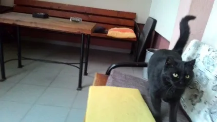 Fotografia miesta 9 od Psychiatrická nemocnica Veľké Zálužie