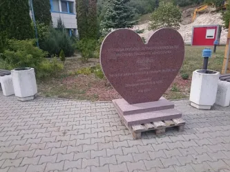 Fotografia miesta 5 od Slovenský ústav srdcových a cievnych chorôb