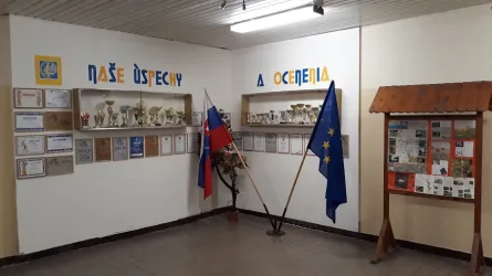 Fotografia miesta 8 od ZS P. Horova