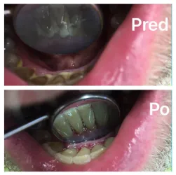 Fotografia miesta 7 od Ambulancia zubného lekárstva - MUDr. Vladimír Bardiovský
