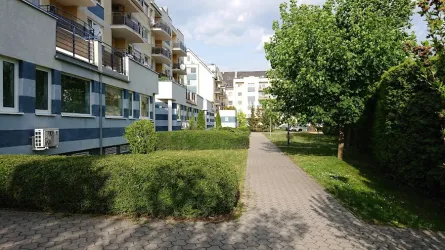 Fotografia miesta 1 od Reumatologická ambulancia - Thermium s.r.o.,  prof. MUDr. Ivan Rybár, PhD.