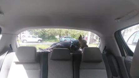 Fotografia miesta 1 od Gastroenterologická ambulancia - DIGESTMED, s.r.o.,  	MUDr. Zita Bačíková