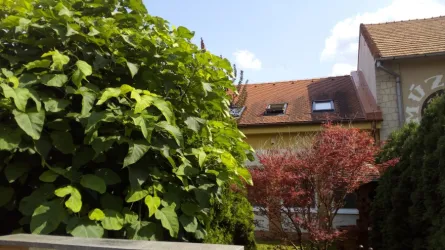 Fotografia miesta 2 od Všeobecná ambulancia pre deti a dorast - MUDr. Ragasová Helena, Zdravie 4U, s.r.o.