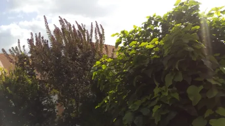 Fotografia miesta 3 od Všeobecná ambulancia pre deti a dorast - MUDr. Ragasová Helena, Zdravie 4U, s.r.o.