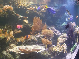 Fotografia miesta 3 od Neurologická ambulancia - MUDr. Juraj Jantošík, NEUROLÓGIA ŠTÚROVO, s.r.o.