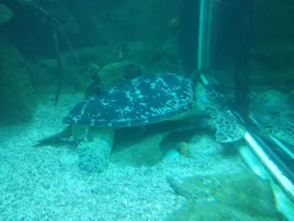 Fotografia miesta 7 od Neurologická ambulancia - MUDr. Juraj Jantošík, NEUROLÓGIA ŠTÚROVO, s.r.o.