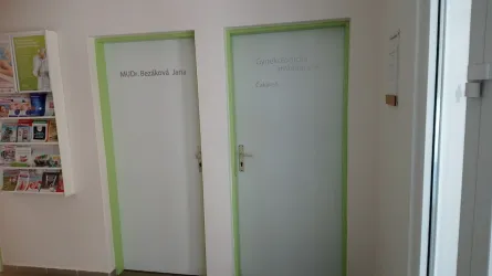 Fotografia miesta 3 od Gynekologicko-pôrodnícka ambulancia - MUDr. Jana Bezáková, JANA ž-gyn, s.r.o.