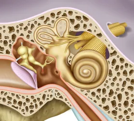 Fotografia miesta 2 od Otorinolaryngologická ambulancia - 	MUDr. Gabriel Földi, HUMAX, s.r.o.