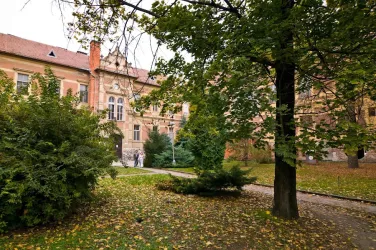 Fotografia miesta 1 od Ambulancia pediatrickej neurológie - Mgr. Viola Tömösközyová, Zuzana Dóczeová, Mgr. Zuzana Szabóová, Mgr. Zlatica Halmová, MUDr. Rudolf Pelikán, Komárno, FORLIFE n.o.