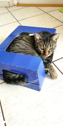 Fotografia miesta 1 od Arcana veterinárna ambulancia - MVDr. Gabriel Filakovský