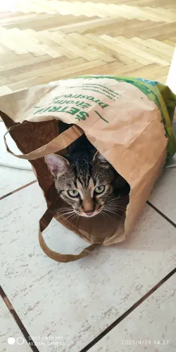 Fotografia miesta 2 od Arcana veterinárna ambulancia - MVDr. Gabriel Filakovský