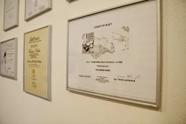 Fotografia miesta 3 od Gallini- štúdio zdravia a línie