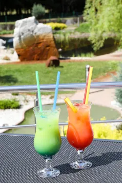 Fotografia miesta 6 od Hotel HVIEZDA *** Dudince