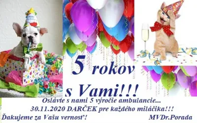 Fotografia miesta 4 od Veterinárna ambulancia - MVDr. Ján Porada