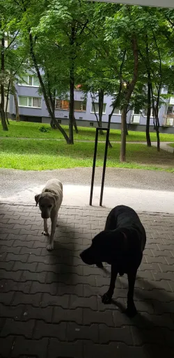 Fotografia miesta 5 od Vetklinika - MVDr. Michal Szabo