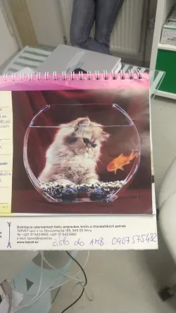 Fotografia miesta 8 od Vetklinika - MVDr. Michal Szabo