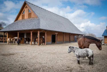 Fotografia miesta 6 od Hotel ORAVSKÝ HÁJ Garden Hotel & Resort