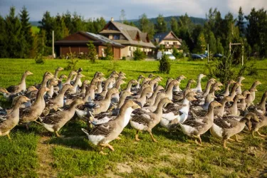 Fotografia miesta 7 od Hotel ORAVSKÝ HÁJ Garden Hotel & Resort