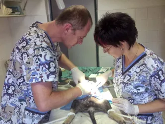 Fotografia miesta 2 od Veterinárna ambulancia - MVDr. Viliam Horváth