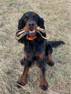 Fotografia miesta 4 od Veterinárna klinika - Veterinka