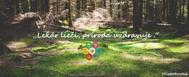 Fotografia miesta 1 od Včelie kúpele - Apiterapia