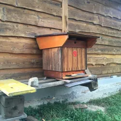 Fotografia miesta 7 od Včelie kúpele - Apiterapia