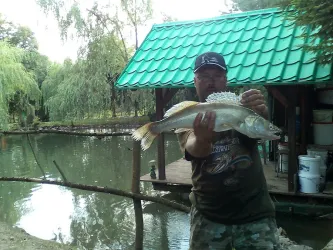 Fotografia miesta 9 od Včelie kúpele - Apiterapia