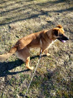 Fotografia miesta 2 od Malá farma