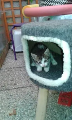 Fotografia miesta 4 od Malá farma