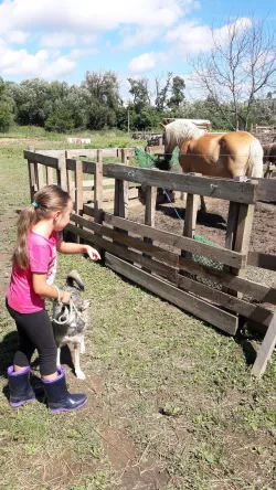 Fotografia miesta 5 od Malá farma