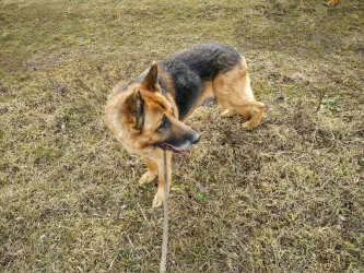 Fotografia miesta 6 od Malá farma