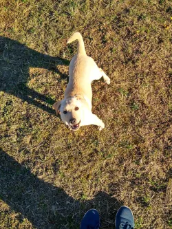 Fotografia miesta 7 od Malá farma