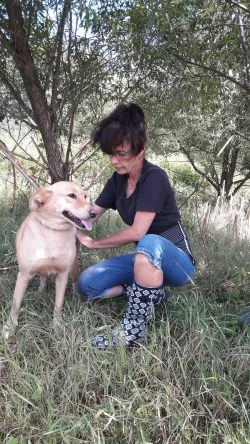 Fotografia miesta 8 od Malá farma