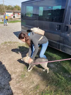 Fotografia miesta 1 od Útulok Košice – únia vzájomnej pomoci ľudí a zvierat