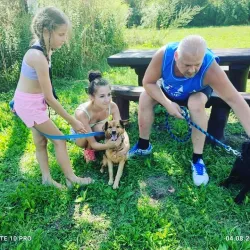 Fotografia miesta 3 od Útulok Košice – únia vzájomnej pomoci ľudí a zvierat